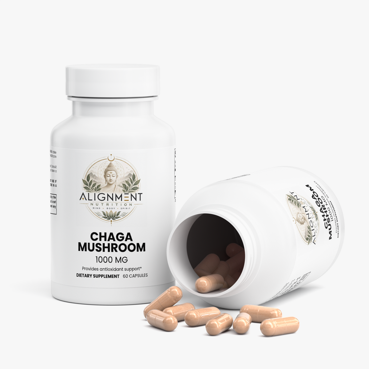 Chaga Mushroom