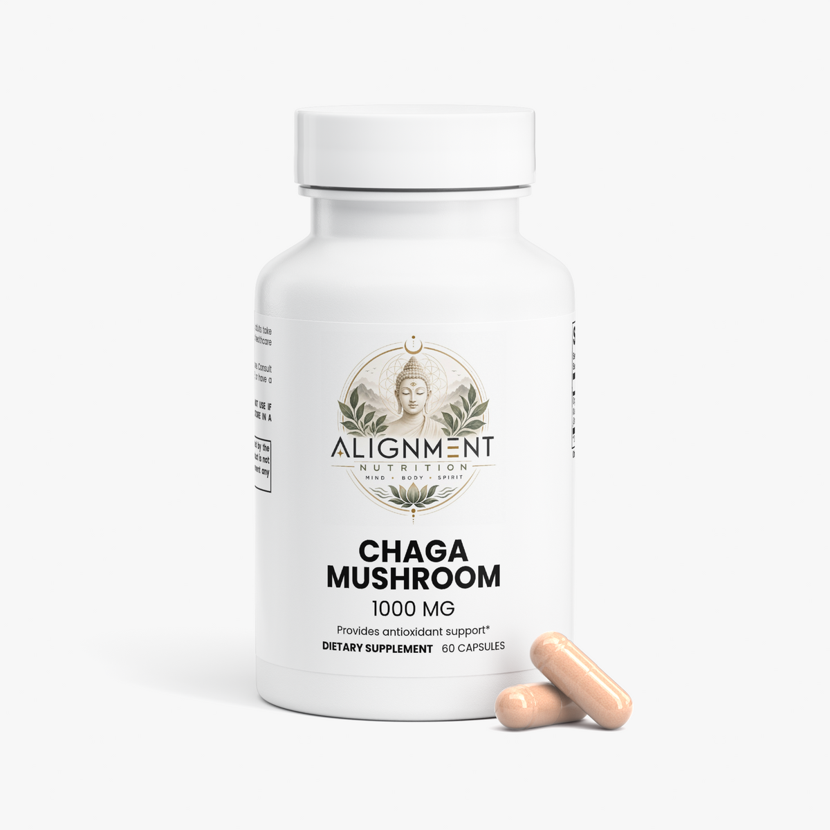 Chaga Mushroom